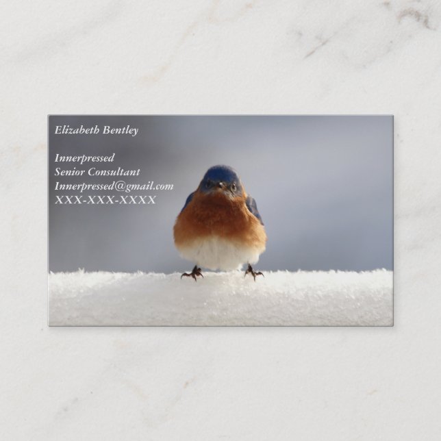 Tarjeta De Visita Bold Bluebird Business Card (Anverso)