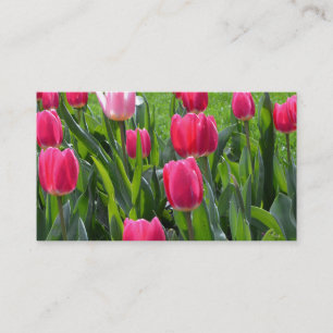 Tarjeta De Visita bonitas flores de tulipán rosa primavera. jardín f