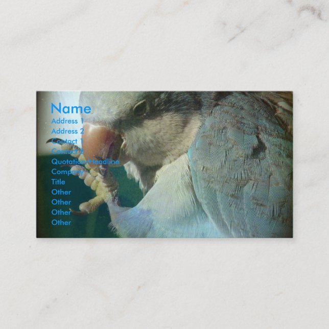 Tarjeta De Visita Bonito Bird (Anverso)