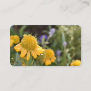 Tarjeta De Visita Bonito Flores Amarillas Jardín Naturaleza Foto Flo