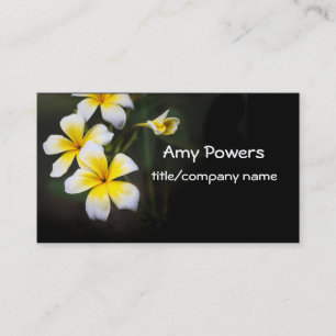 Tarjeta De Visita bonito Plumeria florece fotografía