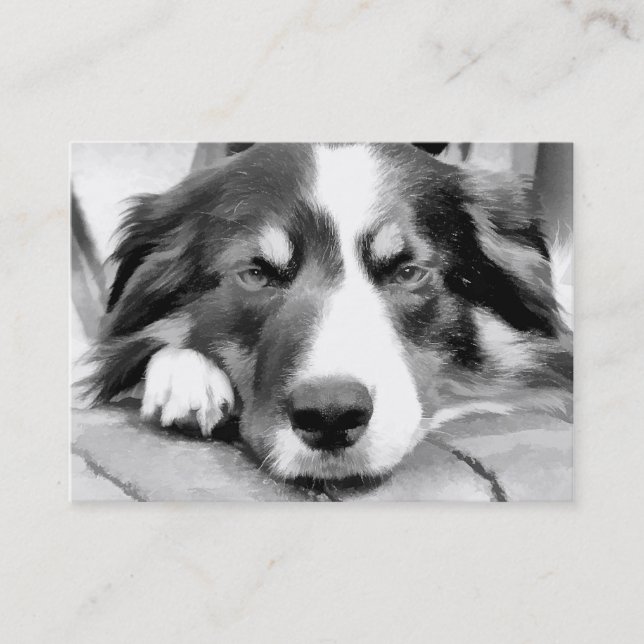 TARJETA DE VISITA BORDER COLLIE (Anverso)