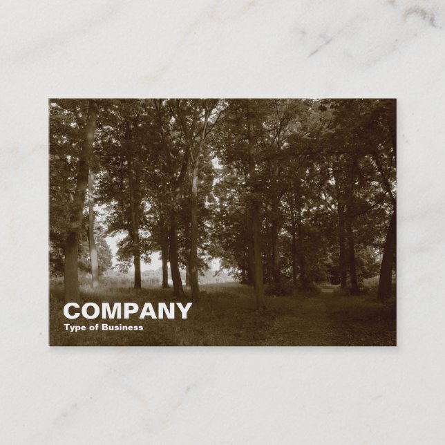 Tarjeta De Visita Bosques, Bute Park, Cardiff (Anverso)