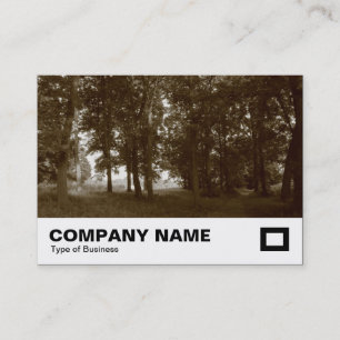 Tarjeta De Visita Bosques, Parque Bute Cardiff - Tono sepia