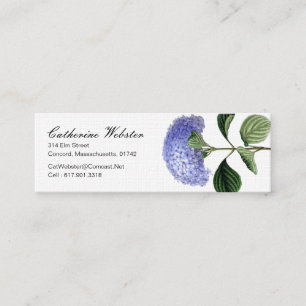 Tarjeta de visita botánica del Hydrangea