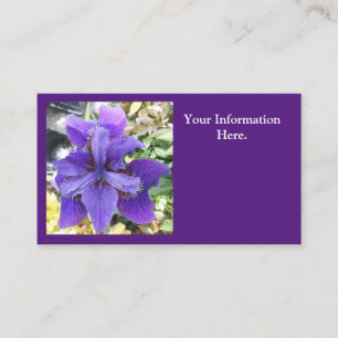 Tarjeta De Visita Brandeis