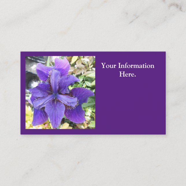 Tarjeta De Visita Brandeis (Anverso)