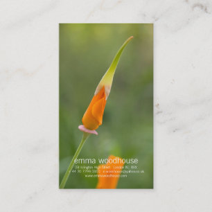 Tarjeta De Visita Brote anaranjado de la amapola de California