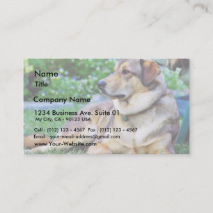 Tarjeta De Visita Buen perro
