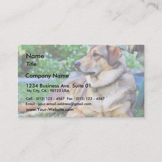 Tarjeta De Visita Buen perro (Anverso)