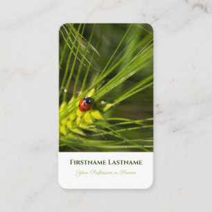 Tarjeta De Visita Buena suerte ladrón de insectos entrenadores de sa