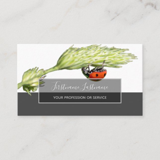 Tarjeta De Visita Buena suerte ladybugs elegantes rectángulo gris (Anverso)