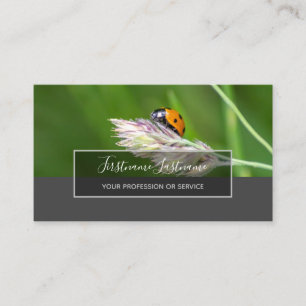 Tarjeta De Visita Buena suerte ladybugs elegantes rectángulo gris