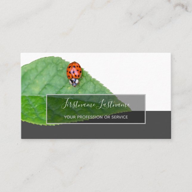 Tarjeta De Visita Buena suerte ladybugs elegantes rectángulo gris (Anverso)