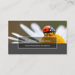 Tarjeta De Visita Buena suerte ladybugs elegantes rectángulo gris b
