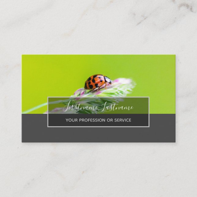 Tarjeta De Visita Buena suerte ladybugs elegantes rectángulo gris b (Anverso)