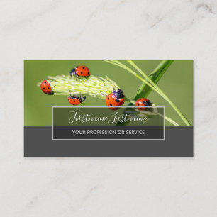 Tarjeta De Visita Buena suerte mariquitas punteadas rectángulo gris 