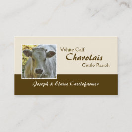 Tarjeta De Visita Buey o novilla de la carne de vaca de Charolais
