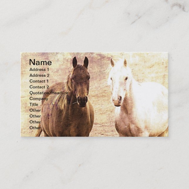 Tarjeta De Visita Bueyes de caballo (Anverso)