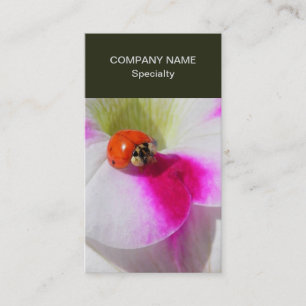 Tarjeta De Visita Buitre en la petunia