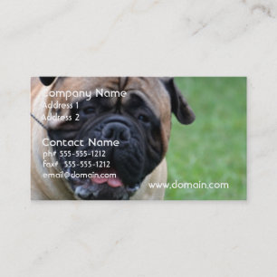 Tarjeta De Visita Bullmastiff lindo