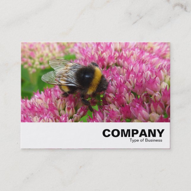 Tarjeta De Visita Bumble Bee en Sedum (Anverso)