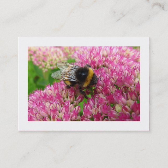 Tarjeta De Visita Bumble Bee en Sedum (Bordeado) (Anverso)