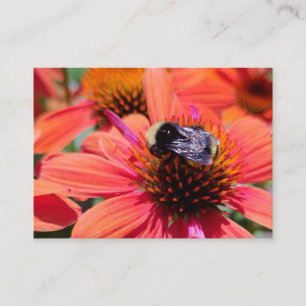 Tarjeta De Visita Bumblebee en Coneflower
