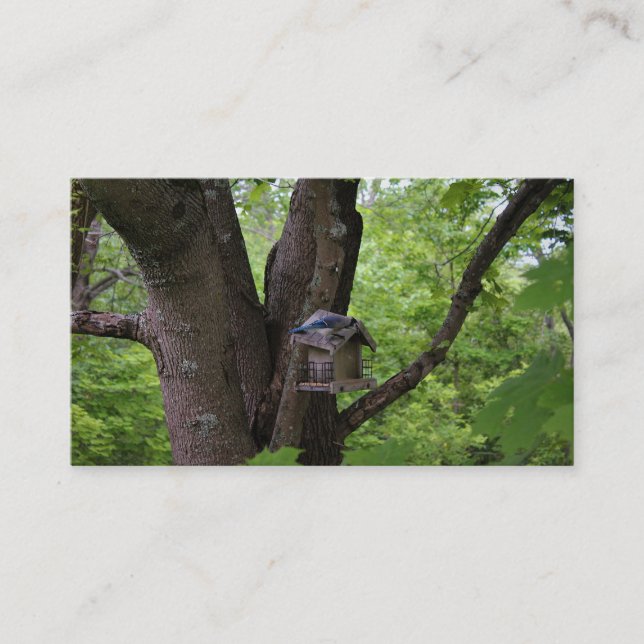 Tarjeta De Visita Buscar una mordedura para comer (Anverso)