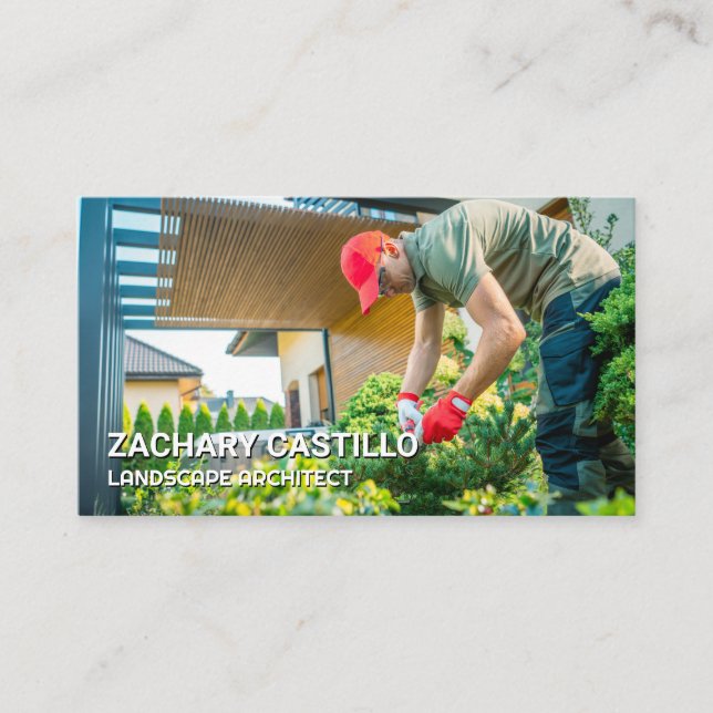 Tarjeta De Visita Bushes de poda de paisajismo | Jardinería (Anverso)