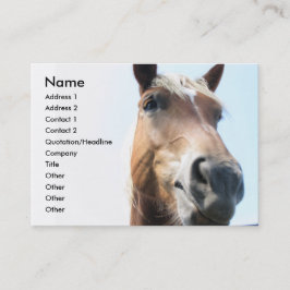 Tarjeta De Visita Caballo