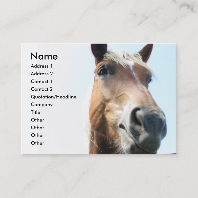 Tarjeta De Visita Caballo (Anverso)