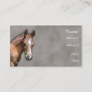Tarjeta De Visita Caballo