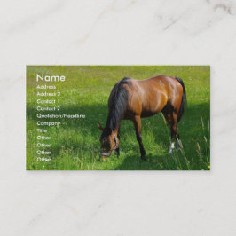Tarjeta De Visita Caballo #1