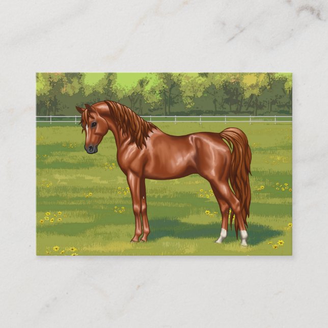 Tarjeta De Visita Caballo árabe-egipcio castaño en pastura de primav (Anverso)