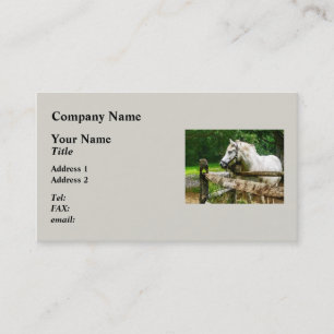 Tarjeta De Visita Caballo Blanco Mirando Hacia Otro Lado