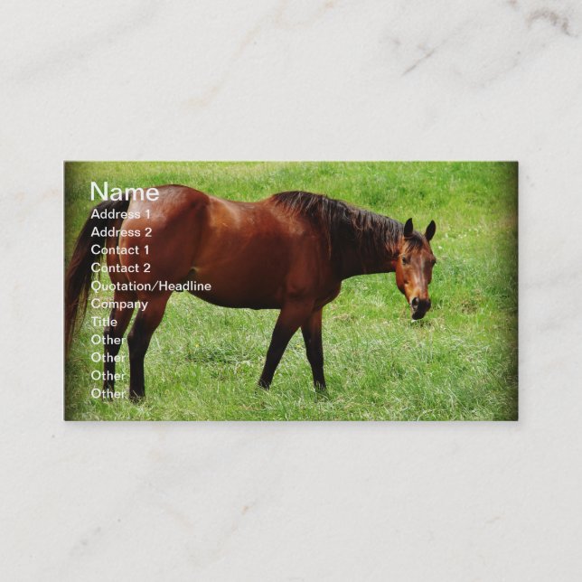 Tarjeta De Visita Caballo de Bahía (Anverso)