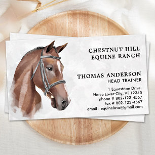 Tarjeta De Visita Caballo Ecuestre Profesional Personalizado Ecuestr