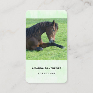 Tarjeta De Visita Caballo marrón bonito en la hierba
