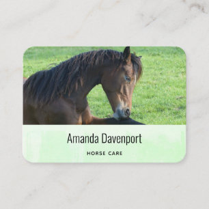 Tarjeta De Visita Caballo marrón bonito en la hierba