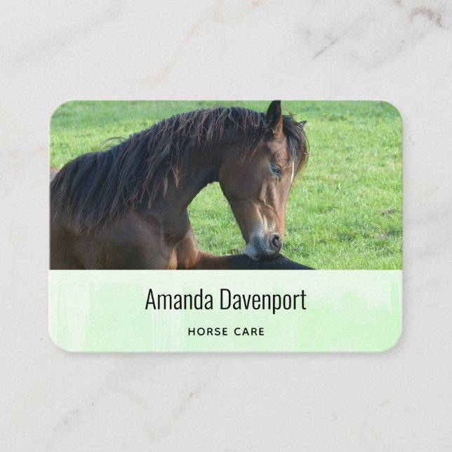 Tarjeta De Visita Caballo marrón bonito en la hierba (Anverso)