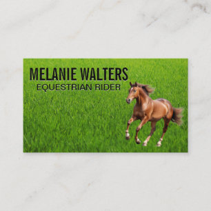 Tarjeta De Visita Caballo marrón corriendo