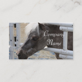 Tarjeta De Visita Caballo miniatura