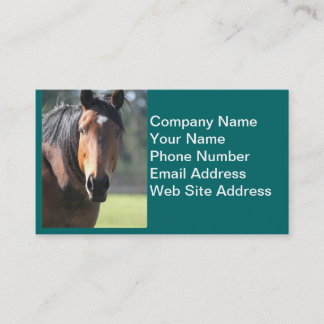 Tarjeta De Visita Caballo: Primer grande del caballo de Brown de la