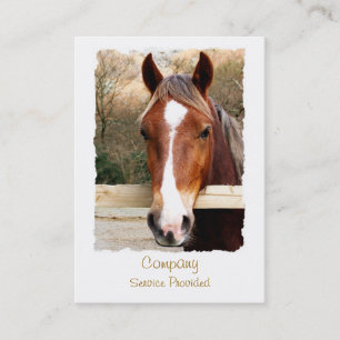 TARJETA DE VISITA CABALLOS