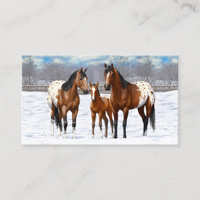 Tarjeta De Visita Caballos Appaloosa De La Bahía Marrón En Nieve (Anverso)