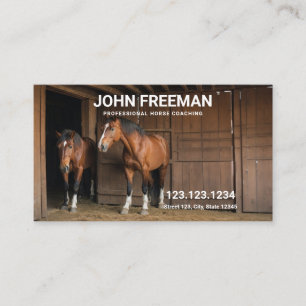 Tarjeta De Visita Caballos marrones modernos Foto Coaching equino