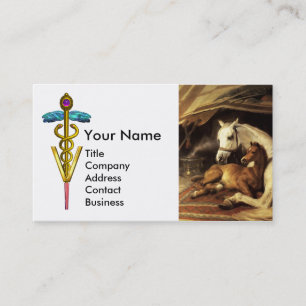 TARJETA DE VISITA CABALLOS, OTROS ANIMALES, SÍMBOLO VETERINARIO CADU