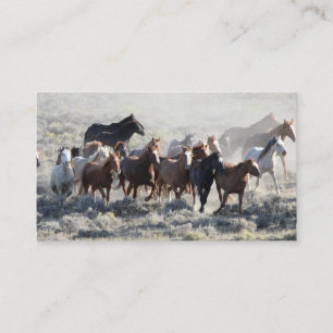 Tarjeta De Visita Caballos salvajes