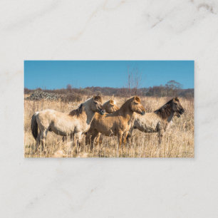 Tarjeta De Visita Caballos salvajes en Wicken Fen, Inglaterra, Reino